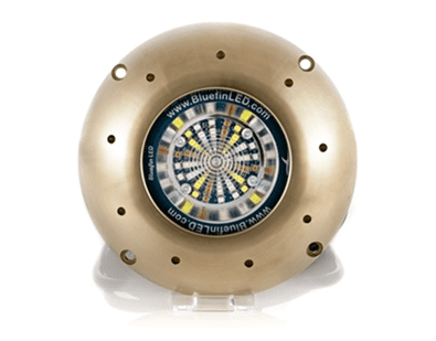 Signature Series Orca O48CC BluefinLED Orca O48CC
